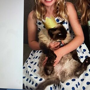 Cinderella Couture White Dress